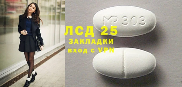 PSILOCYBIN Вяземский
