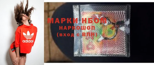 PSILOCYBIN Вяземский
