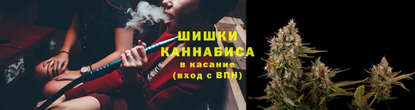 бошки Вязьма