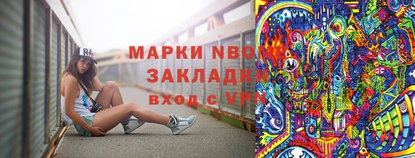 PSILOCYBIN Вяземский