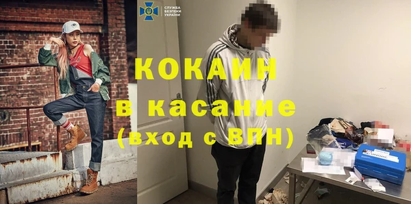 PSILOCYBIN Вяземский