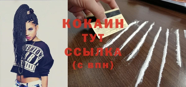 PSILOCYBIN Вяземский