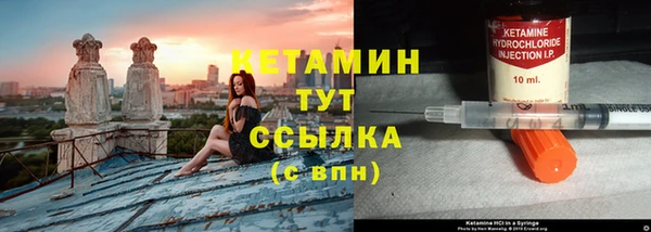 PSILOCYBIN Вяземский